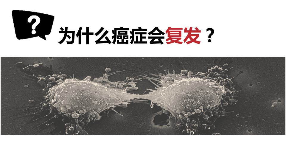 [资讯分享25] Why Do Cancers Recur 